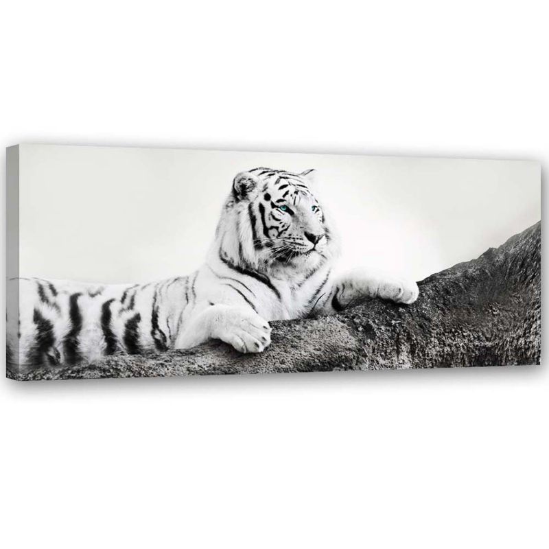 Obraz do salonu biura Feeby Tygrys Zwierzeta Natura Czarno - Biały 90x30cm 1szt