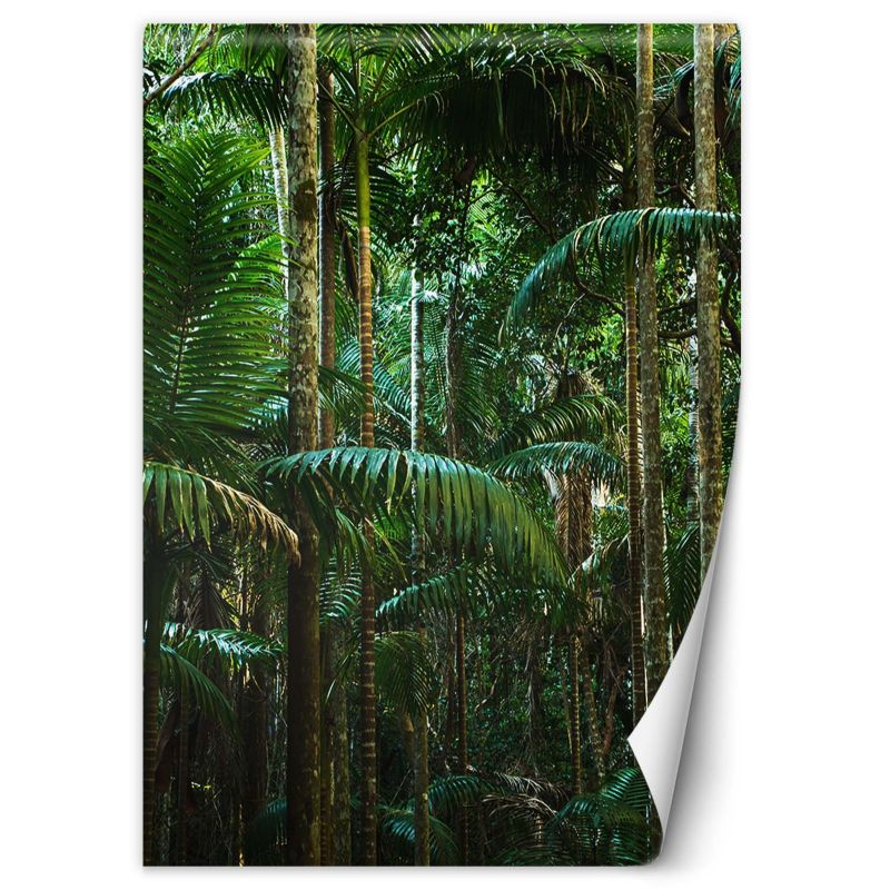 Fototapeta Feeby Tropikalny las natura 150x210 1 szt