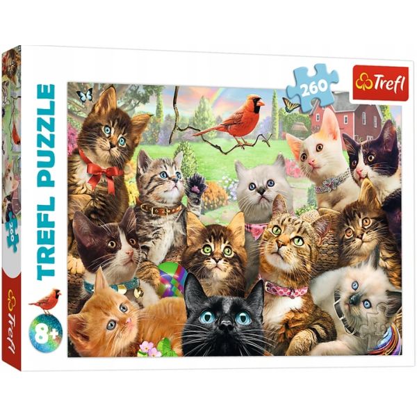 PUZZLE 260 KOTKI /MGL
