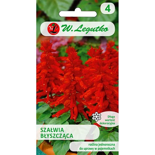 1 pac, Salvie decorativă roșie - Semințe: Mod de ambalare: 0.3 g