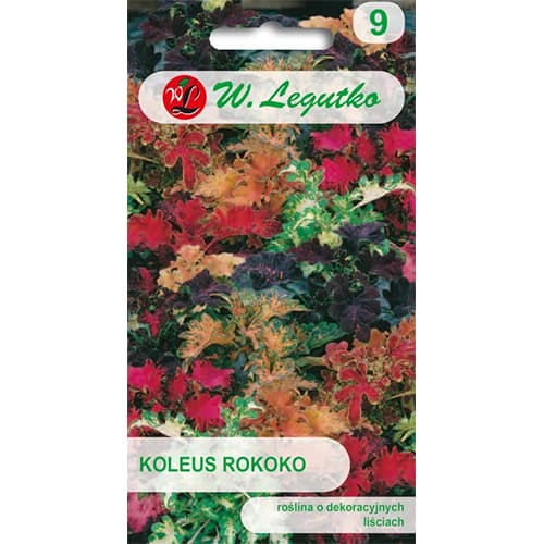 1 pac, Coleus Rokoko, mix multicolor - Semințe: Mod de ambalare: 0.02 g