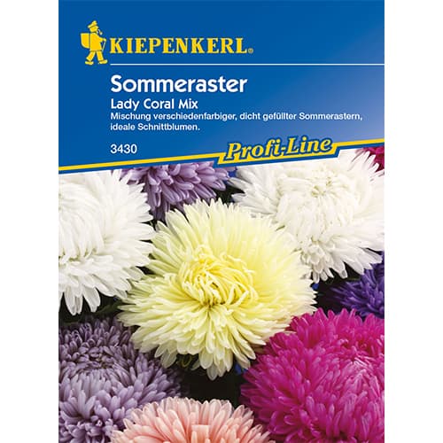 Aster chiński Lady Coral - Nasiona. Ilość w opakowaniu: 1 opak - GradinaMax