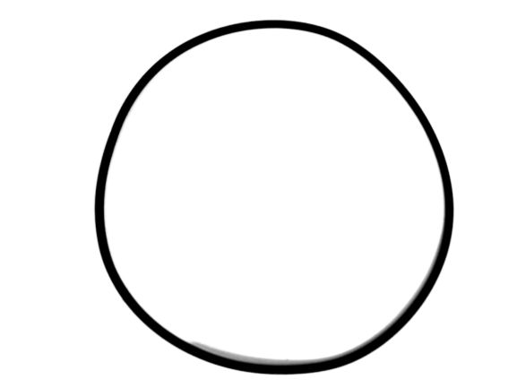 O-ring 2,62x101,20 New Holland CASE 9828498 CNH