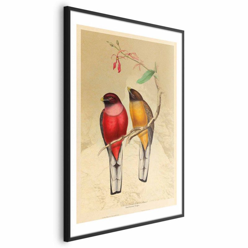 Plakat Artgeist Ptaki na gałązce 40x60 cm z ramą czarną 1 szt