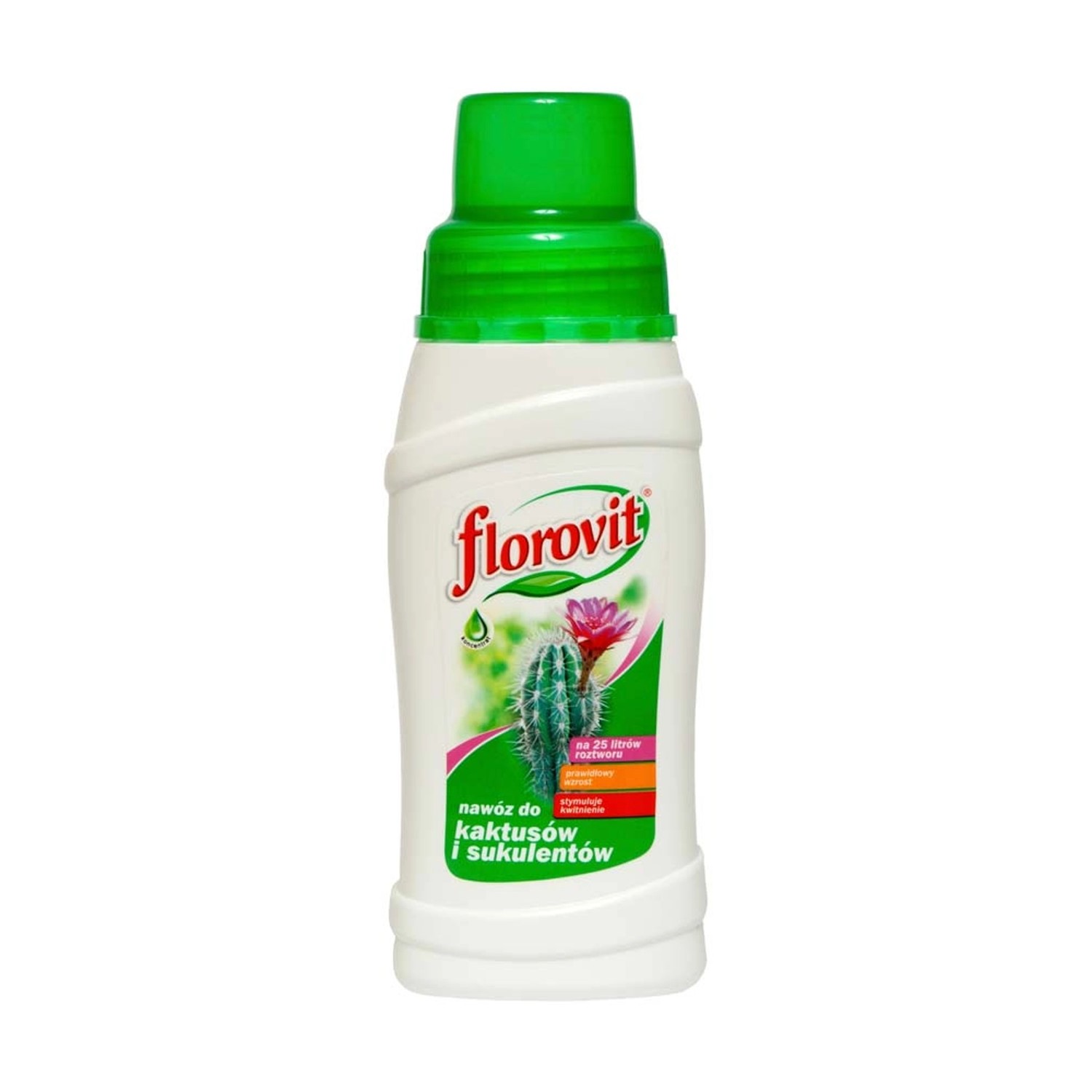 Florovit Nawóz do kaktusów i sukulentów 250 g.