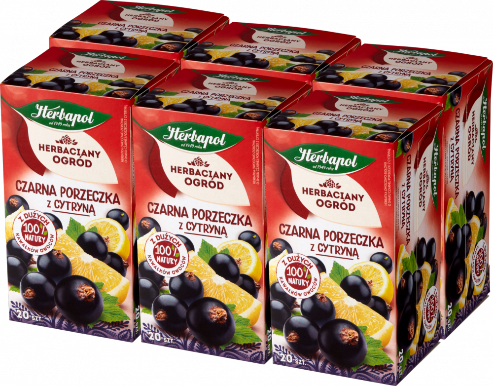 6x Herbata owocowa w torebkach Herbapol Herbaciany Ogród, czarna porzeczka z cytryną, 20 sztuk x 2.7g