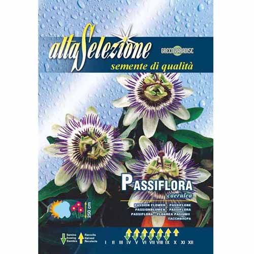 1 pac, Floarea pasiunii - Semințe: Mod de ambalare: 0.8 g