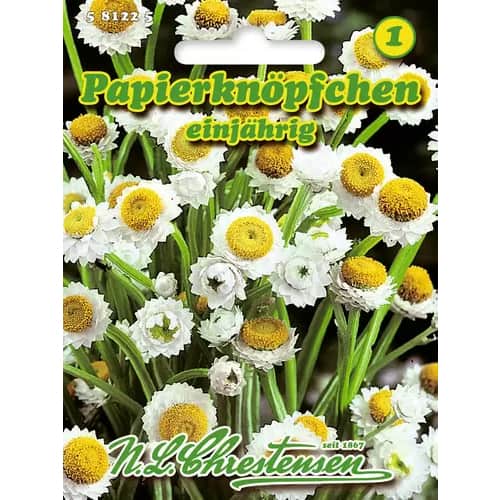 1 pac, Ammobium alatum (Imortele) - Semințe: Mod de ambalare: 1 pac