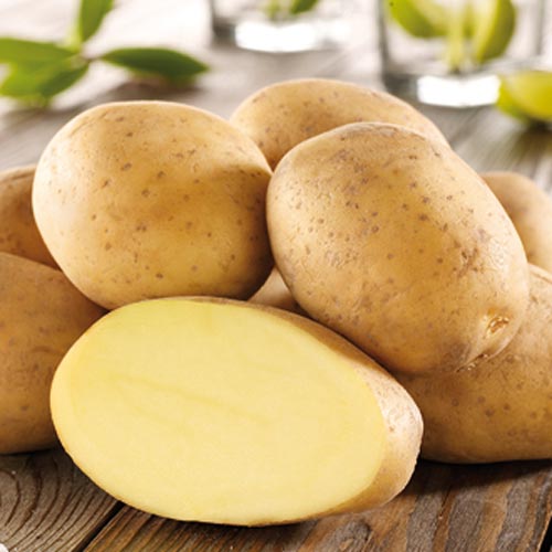 1 kg, Cartofi de sămânță Impala - Tuberculi: Mod de ambalare: 1 kg