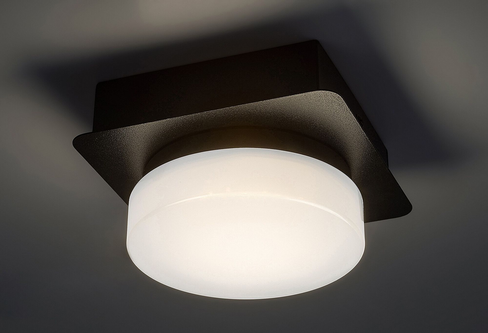 Rabalux Attichus lampa podsufitowa 1x5W LED czarny mat/biały 75001 - Wysyłka w 24h
