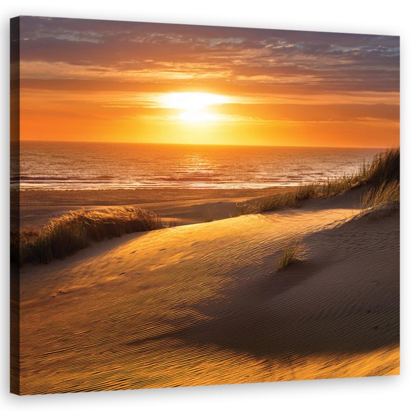 Obraz do salonu sypialni Feeby Zachód Słońca Plaża Natura 60x60 cm 1szt