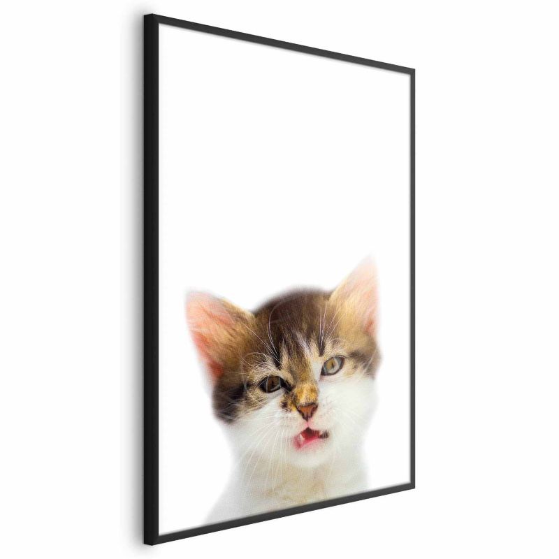 Plakat Artgeist Zirytowany kot 40x60 cm z ramą czarną 1 szt