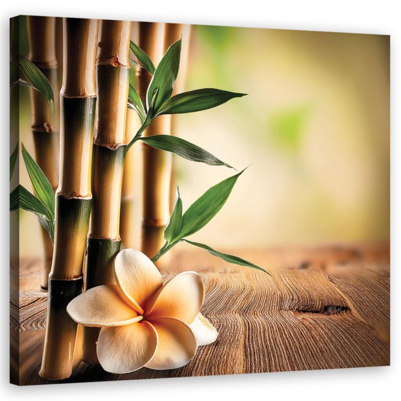 Obraz do salonu sypialni Feeby Bambusowe Kwiaty Zen 50x50 cm 1szt