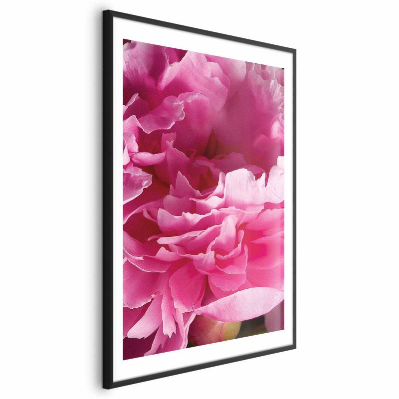 Plakat Artgeist Piękne piwonie 21x30 cm z ramą czarną 1 szt
