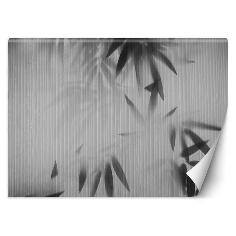 Fototapeta Feeby Liście we mgle abstrakcja 300x210 1 szt