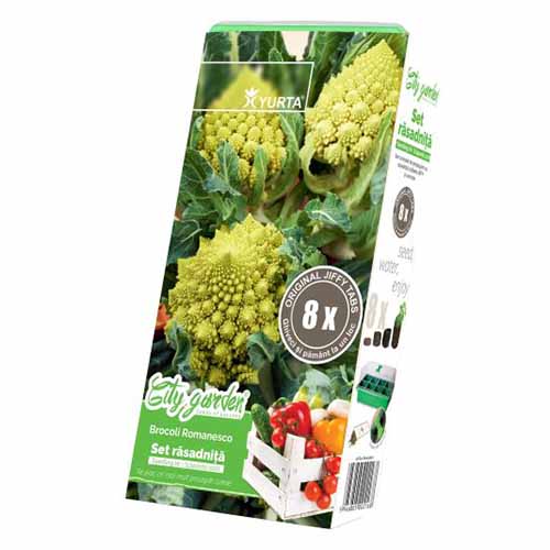 1 szt, Zestaw nasion Kalafiora Romanesco - Nasiona: Ilość w opakowaniu: 1 opak