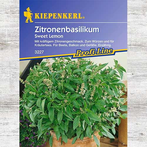 1 szt, Bazylia cytrynowa Sweet Lemon - Nasiona: Ilość w opakowaniu: 1 opak