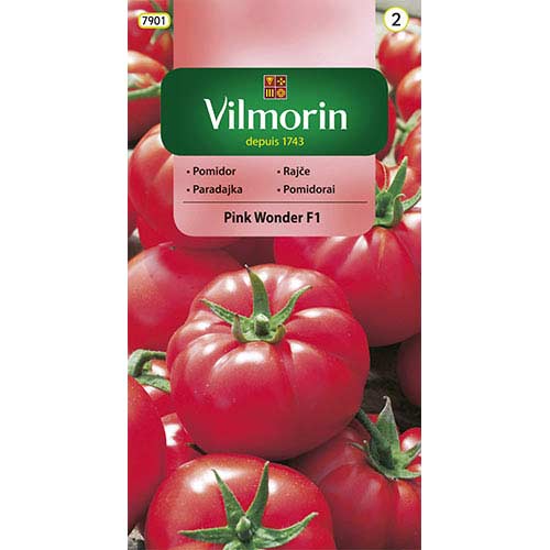1 szt, Pomidor szklarniowy Pink Wonder F1 Vilmorin - Nasiona: Ilość w opakowaniu: 7 szt