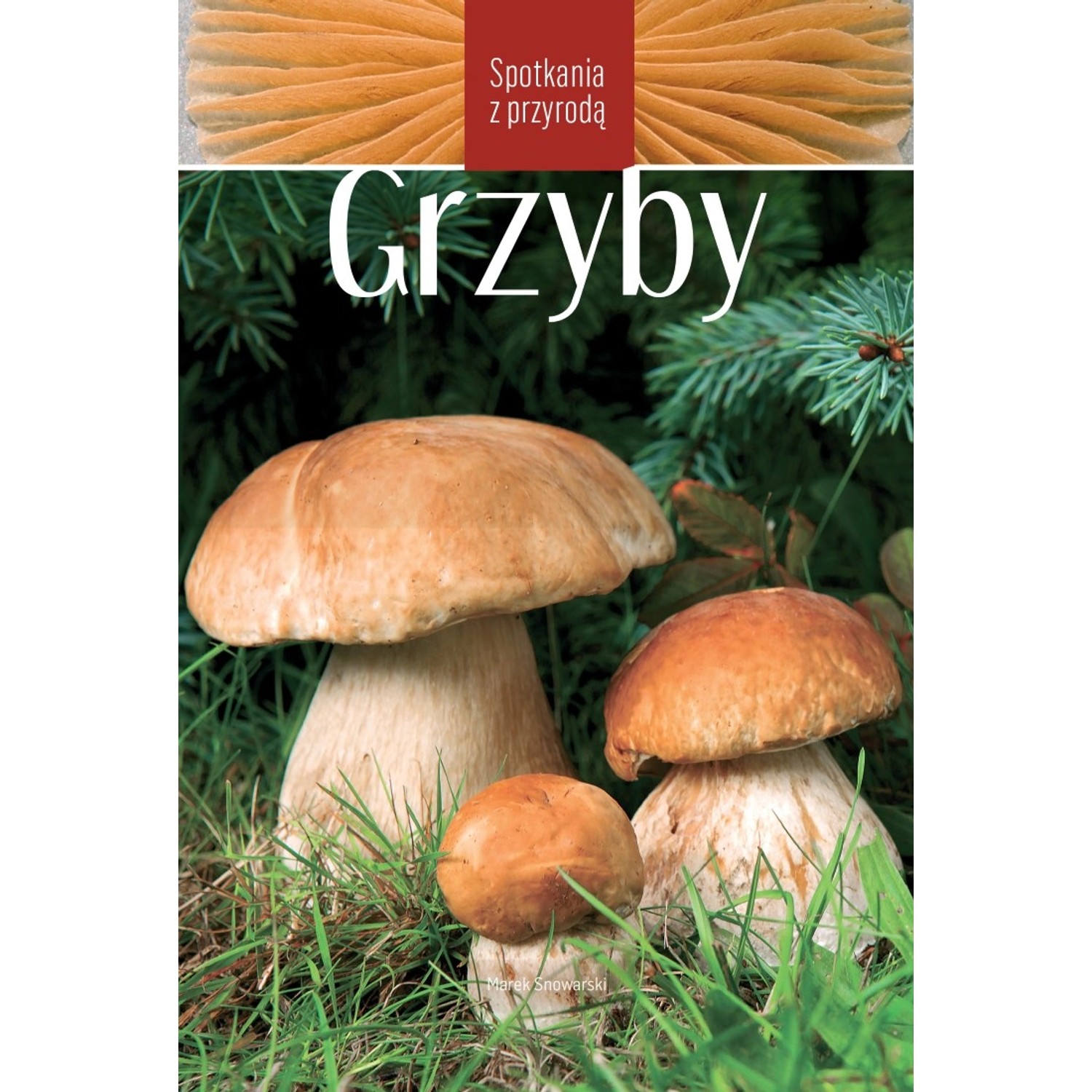 Grzyby - Spotkania z przyrodą Marek Snowarski