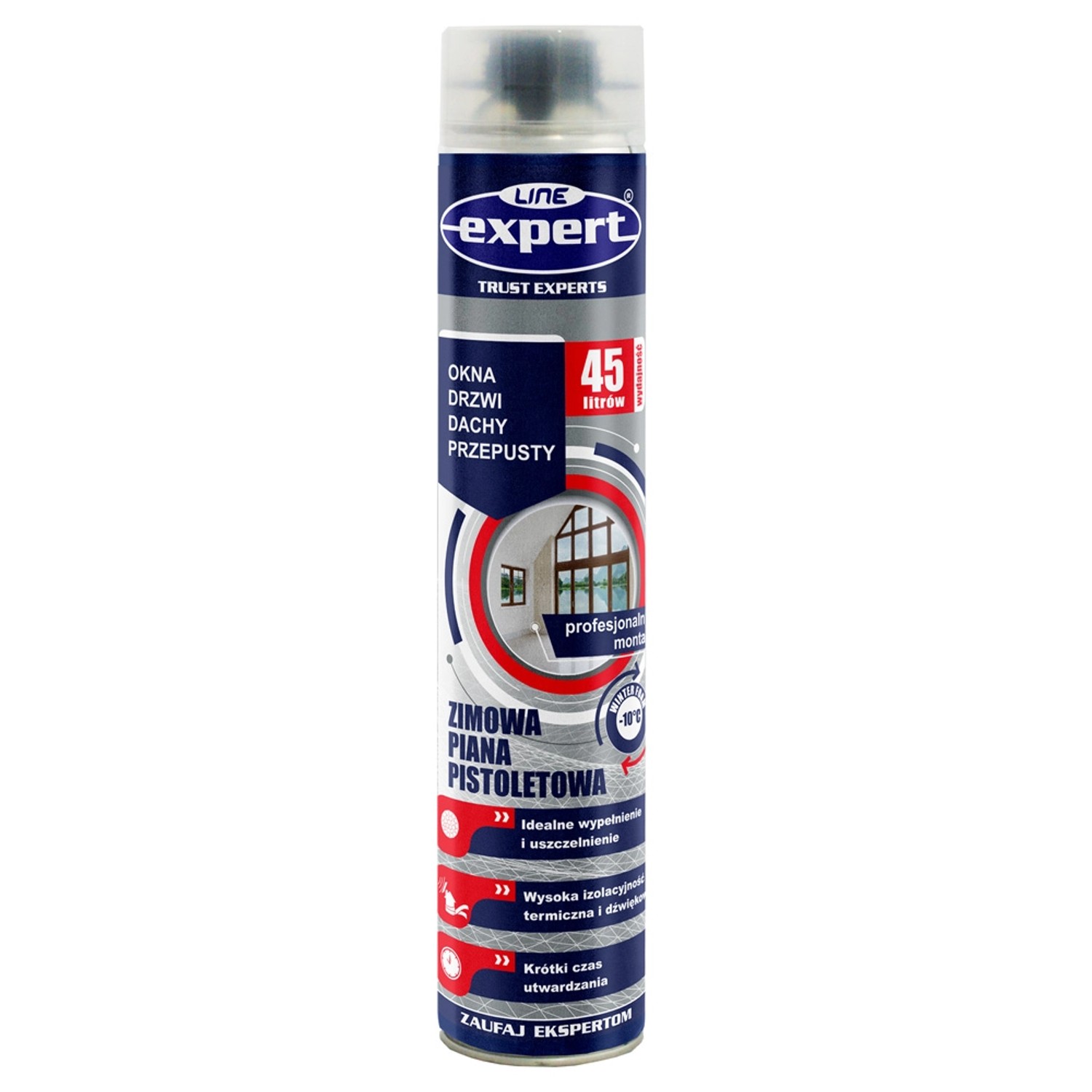 Piana pistoletowa EXPERT LINE 750 ml