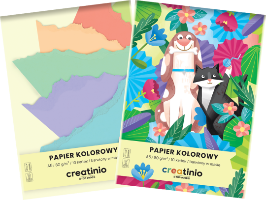 Zeszyt papierów kolorowych TOP 2000 Creatino, A5, 10 kartek, mix kolorów