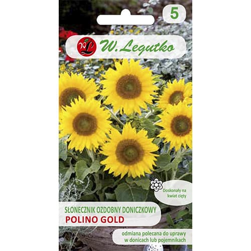 1 pac, Floarea soarelui decorativă Polino Gold - Semințe: Mod de ambalare: 1 g