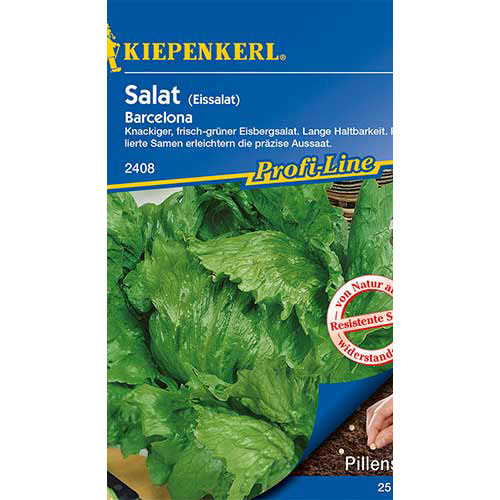1 pac, Salată iceberg Barcelona Kiepenkerl - Semințe: Mod de ambalare: 1 pac