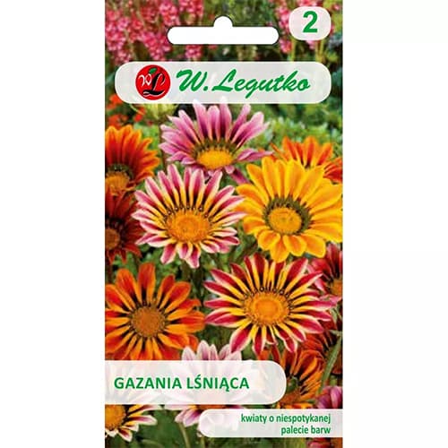 1 pac, Gazania (Floarea comoară), mix multicolor - Semințe: Mod de ambalare: 0.3 g
