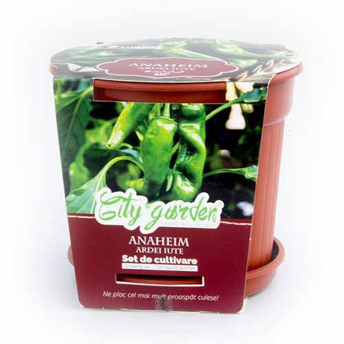 1 pac, Set de cultivare - Ardei iute Anaheim Chilli - Semințe: Mod de ambalare: 1 pac
