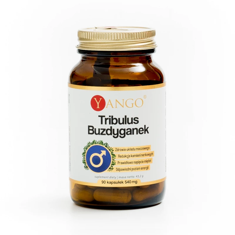 Tribulus Buzdyganek 90kaps. Yango