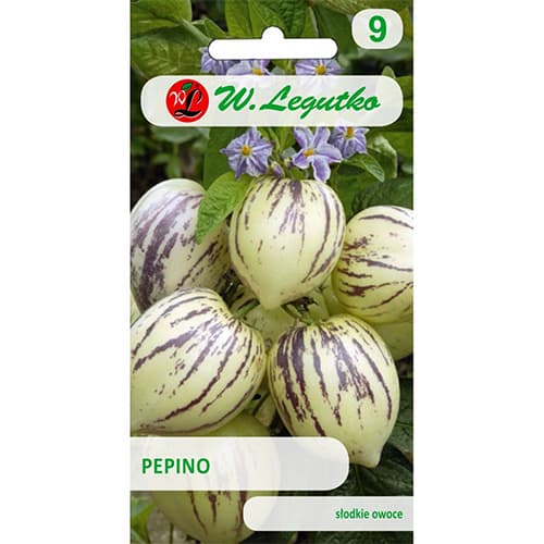 1 szt, Melonenbirne Legutko - Samen: Ilość w opakowaniu: 0.01 g