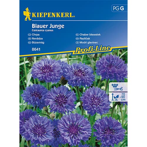 1 szt, Kornblume Blauer Junge - Samen: Ilość w opakowaniu: 1 Stück