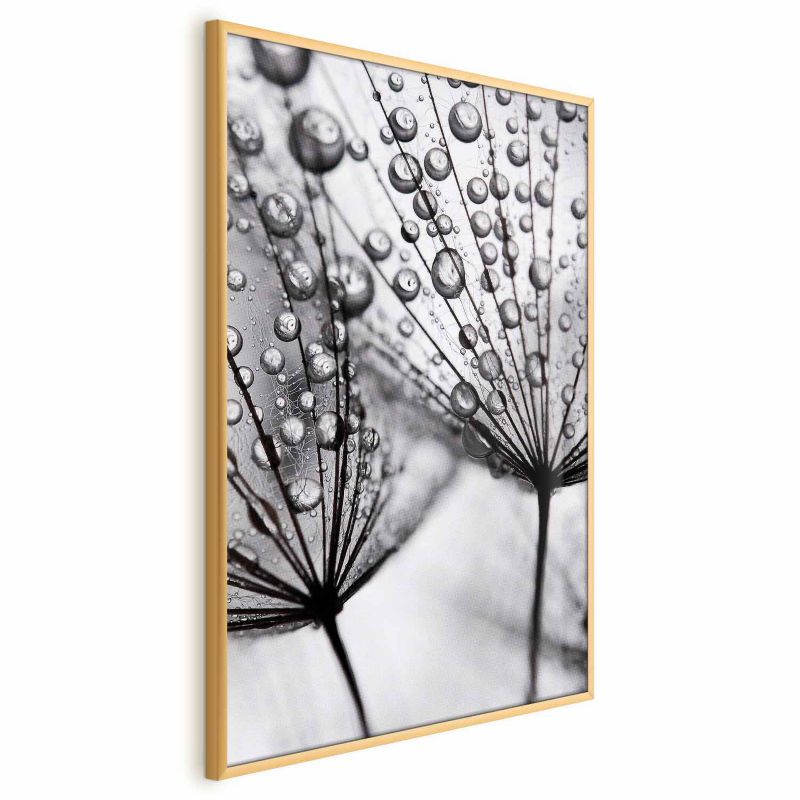 Plakat Artgeist Rosa 60x90 cm z ramą złotą 1 szt