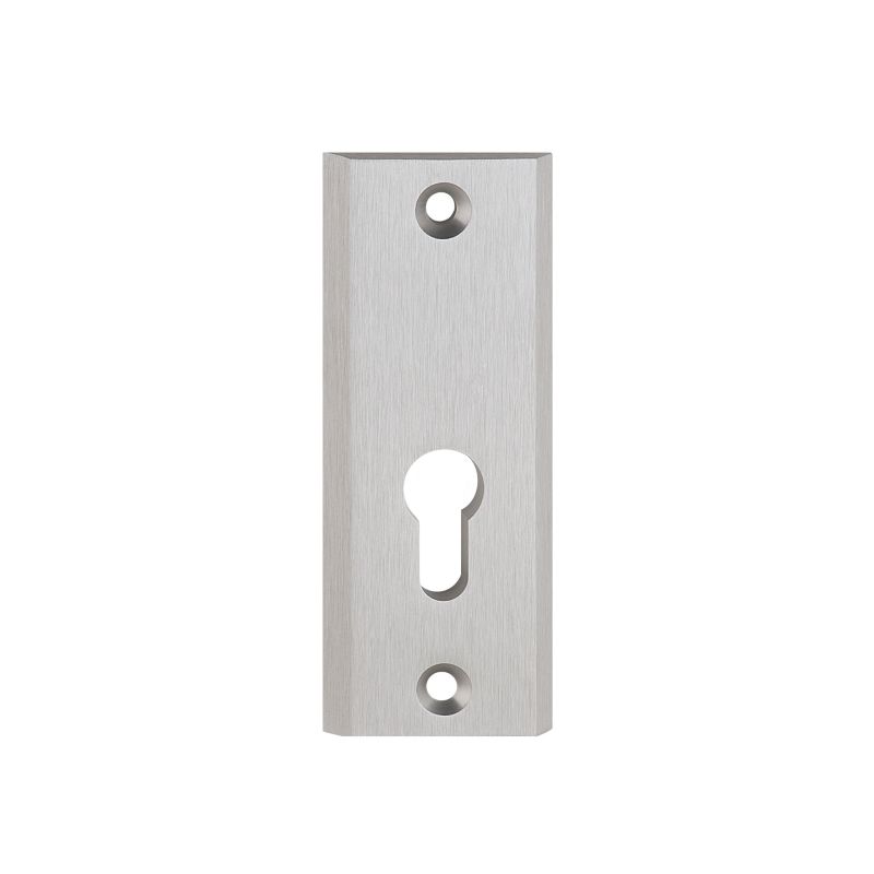 Szyld drzwiowy Metalbud Total Plus górny na wkładkę inox