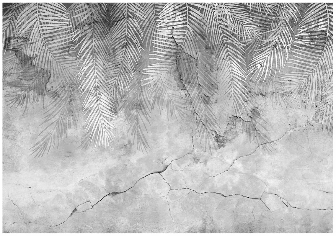 Fototapeta Liście Palmy Beton Szary 200x140 cm Tapeta Do Sypialni Salonu Kuchni Na Flizelinie