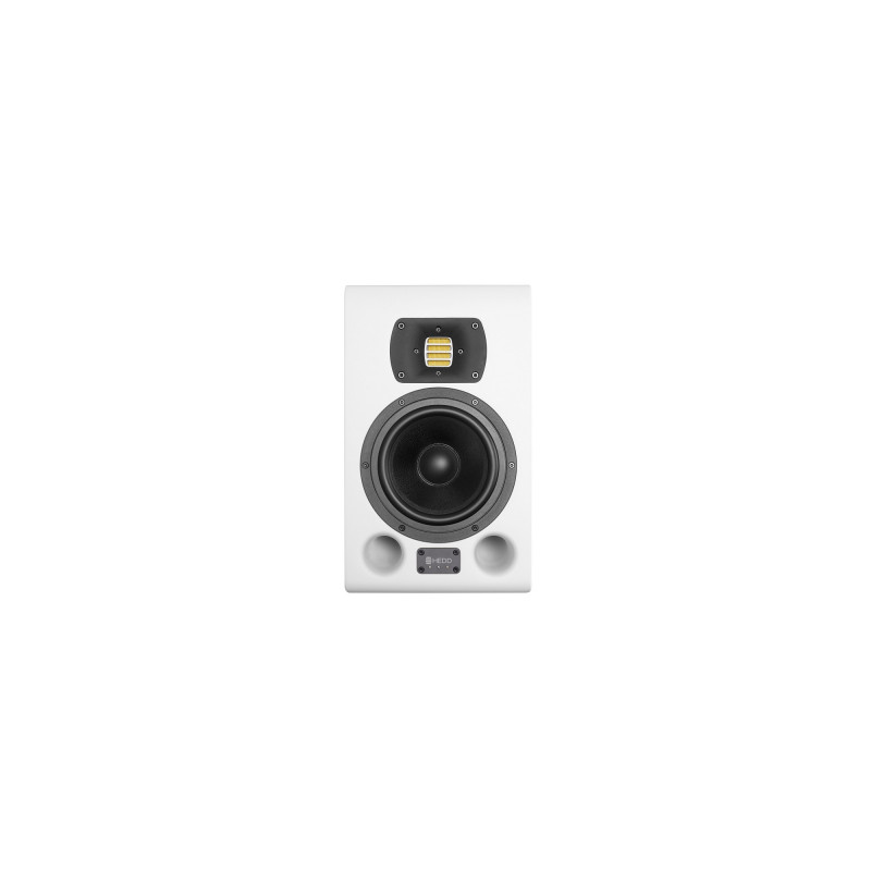 Monitor aktywny hedd audio type 07 mk2