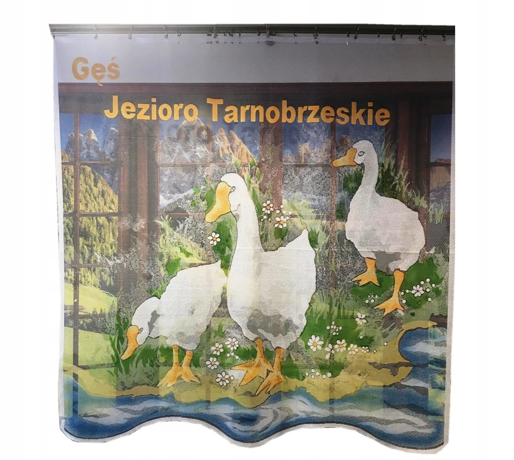 Firanka Gąski 150x150 cm FIRANKA ŻAKARD DLA DZIECI GĘSI KOLOROWE FIRANKI