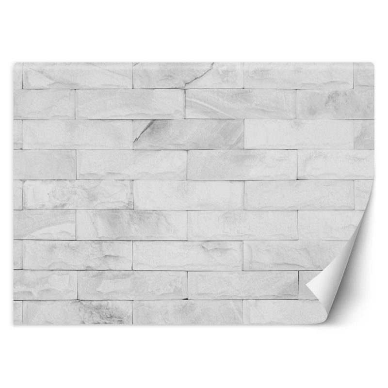 Fototapeta Feeby Białe cegły 250x175 1 szt
