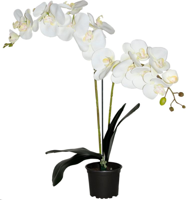 Storczyk sztuczny premium Direct Home&Garden 18 kwiatów 62,5cm 1 szt.