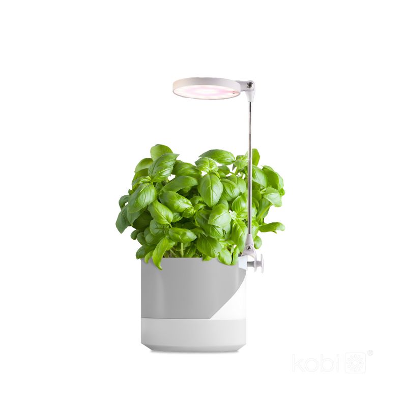 Lampa do roślin LED Verdi Kobi 10W 3200K 1szt.