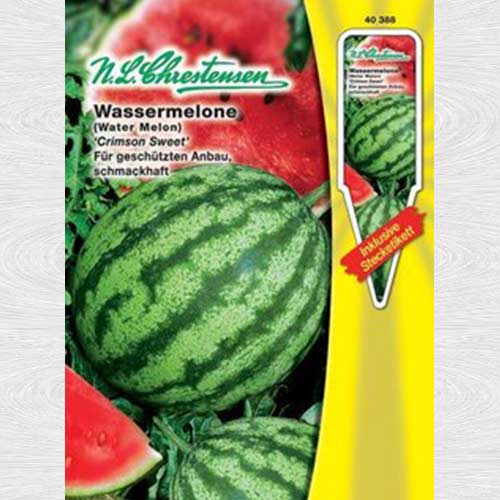 1 pac, Pepene Crimson Sweet (Chrestensen) - Semințe: Mod de ambalare: 1 pac