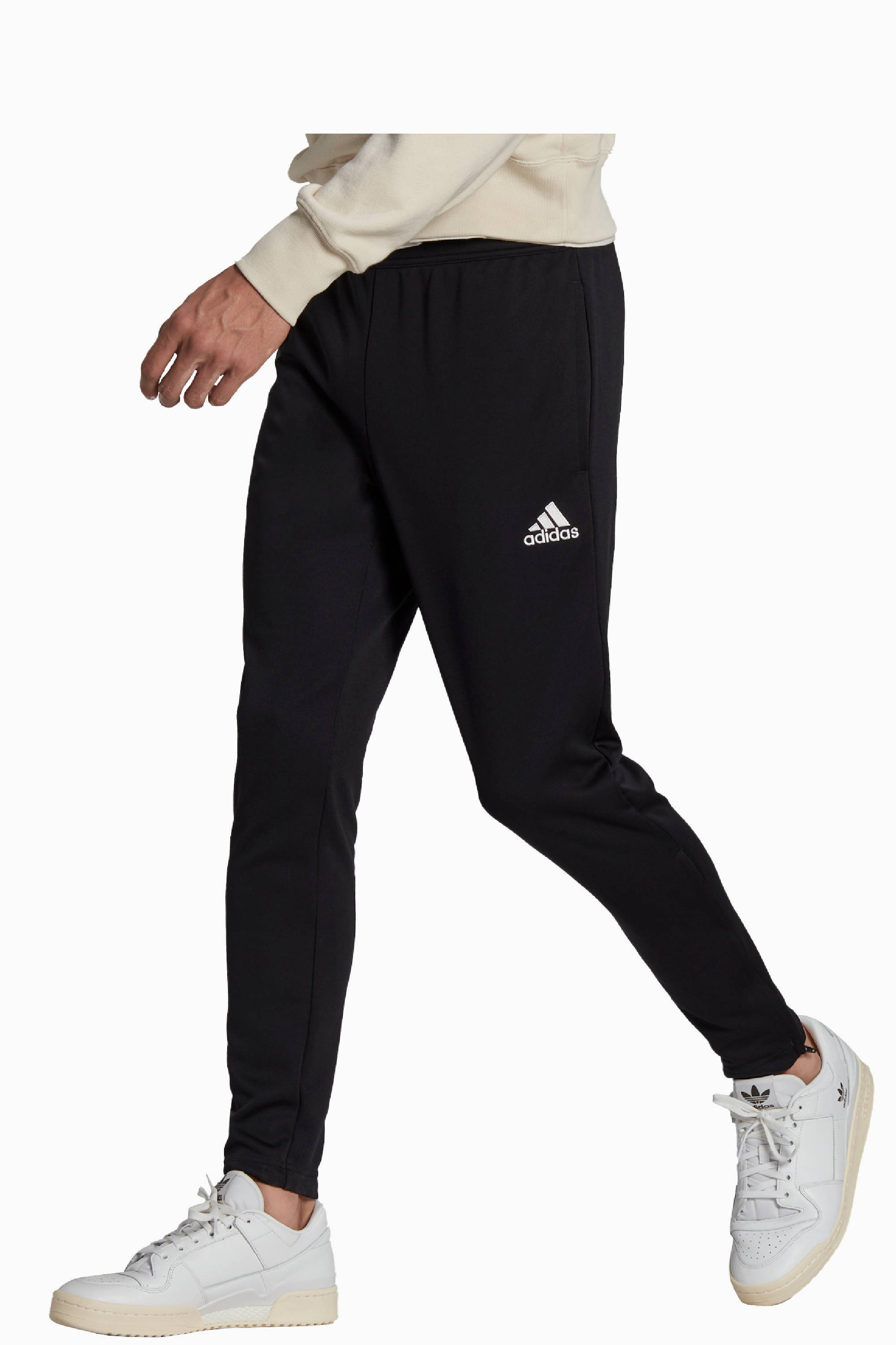 Spodnie adidas FC Wrocław Academy 23/24 Training Junior - Czarny