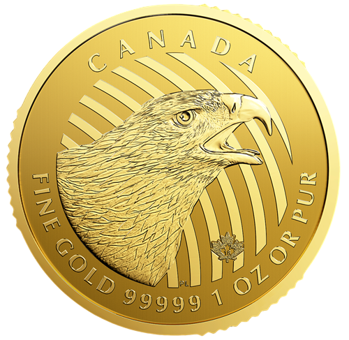 Złota moneta Zew Natury: Złoty Orzeł 1 uncja złota - wysyłka 24 h!