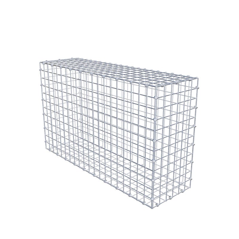Gabion 100 cm x 60 cm x 30 cm (dł. x wys. x gł.), rozmiar oczek 5 x 5 cm, pierścień spiralny