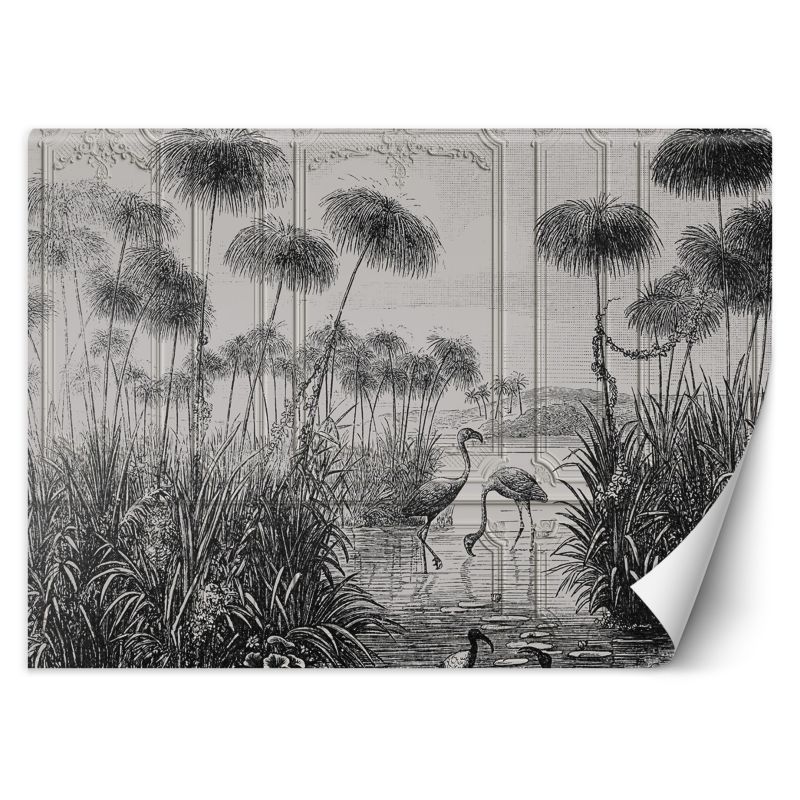 Fototapeta Feeby Ptaki żurawie trawy staw szary 350x245 1 szt