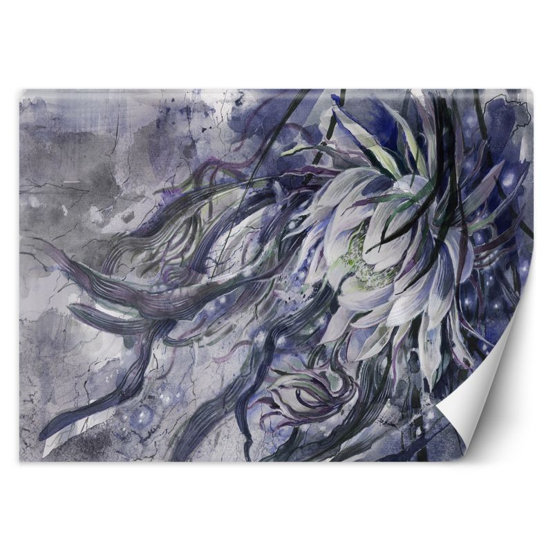 Fototapeta Feeby Kwiat królowej nocy 150x105 1 szt