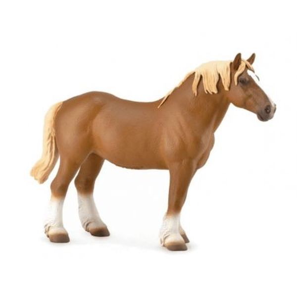 OGIER BELGIAN MARE GNIADY