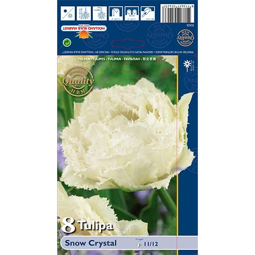 Tulipan strzępiasty Snow Crystal - Cebule: Ilość w opakowaniu: 8 szt. - GradinaMax