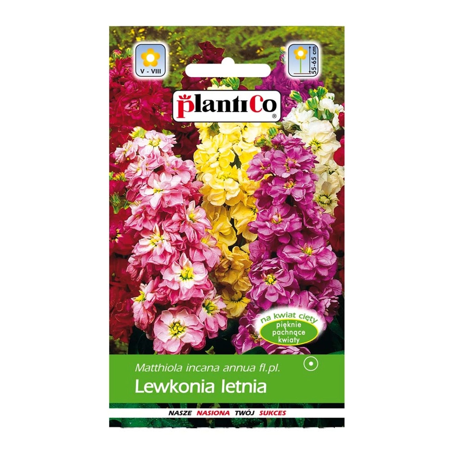 Lewkonia letnia mix