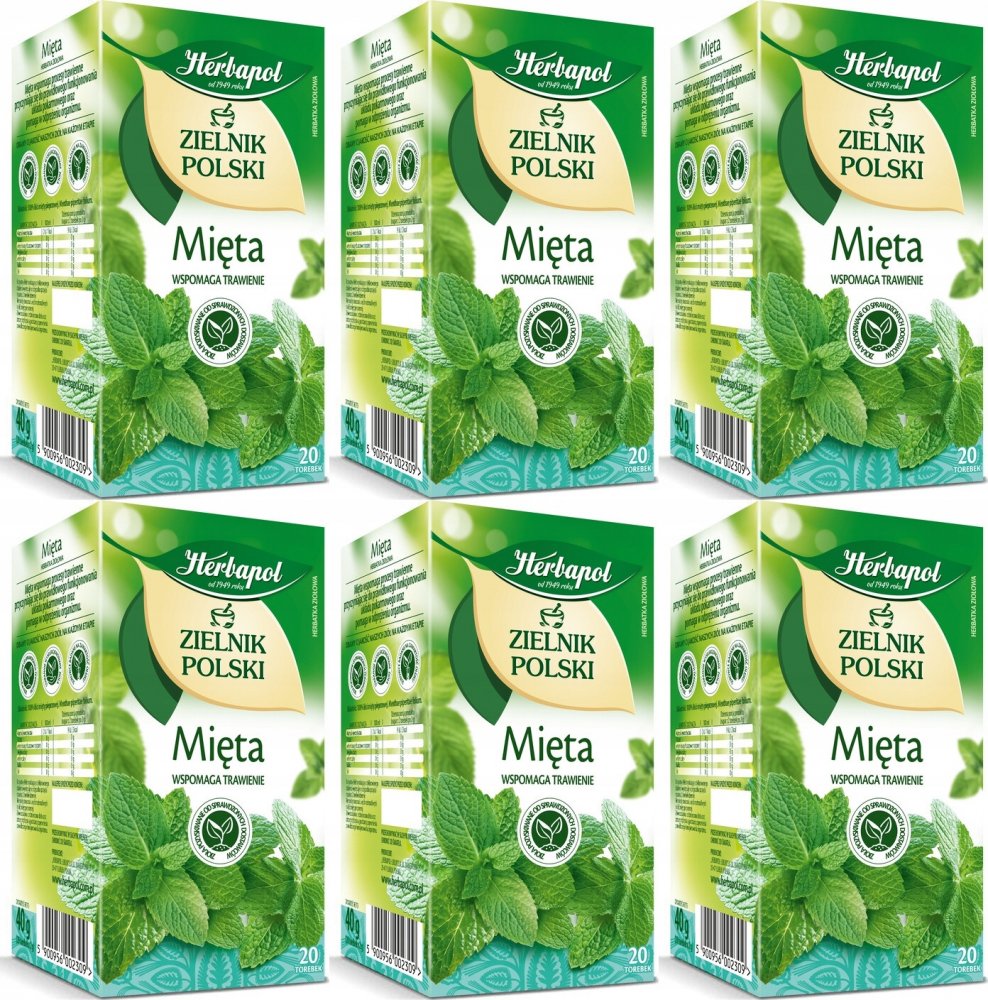 6x Herbata ziołowa w torebkach Herbapol Zielnik Polski, mięta, 20 sztuk x 2g